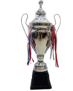 Silver metal trophy with red; white; and blue ribbons. Ideal for awards and recognition.