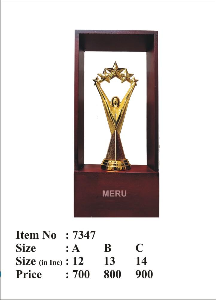 Star Achievement Fibre Trophy