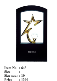 Premium Corporate Acrylic Trophy