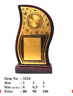 Custom wooden award trophy with gold plate