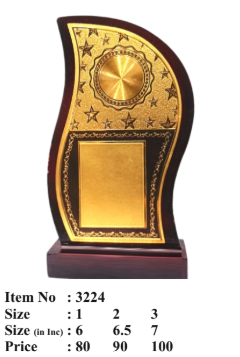 Wooden memento award for achievement and recognition.