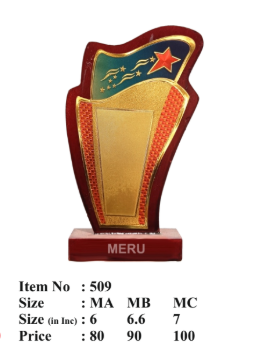 Wooden memento award with star