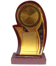 Wooden Star Award Memento - Corporate Recognition