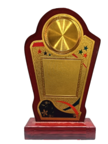 Custom Wooden Memento Award - 4062 1.jpg