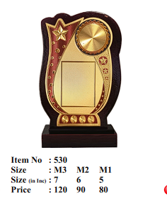 Decorative award with gold and brown design on a white background
Elegant wooden recognition award trophy