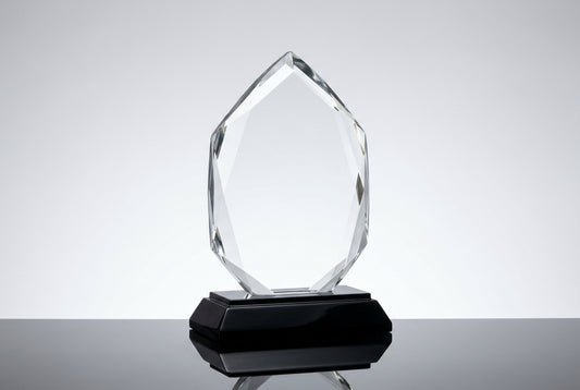Best Corporate Gifting Trophy Company in India — Meru Trophy