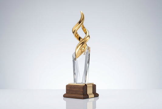 Custom Awards With Company Logo in India — Meru Trophy