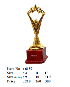 Finding Reliable Acrylic Trophy Suppliers Near Me for Bulk Orders: Your Guide to Meru Trophy