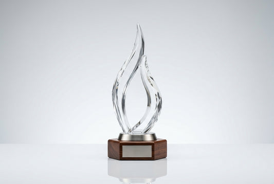 Online Trophy Store in India With Fast Delivery — Meru Trophy