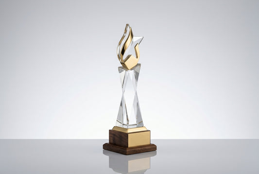 Trophies Under Rs 500 in India: Best Options — Meru Trophy