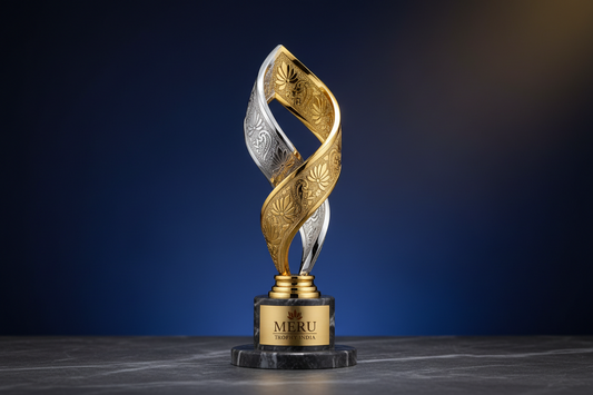 Trophy Design for corporate and sports recognition events crafted by Meru Trophy India award manufacturer