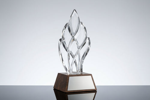 Trophy Shop Near You With Delivery Across India — Meru Trophy