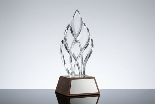 Trophy Shop Near You With Delivery Across India — Meru Trophy