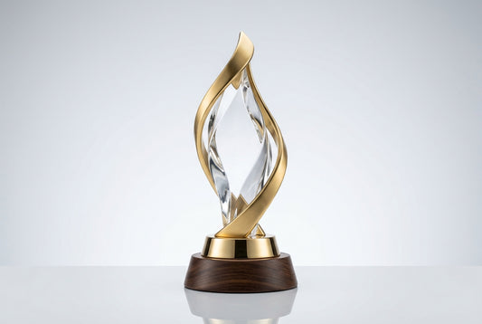 Trophy Suppliers in Gandhinagar, Bangalore: Where to Go — Meru Trophy