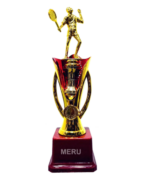 Custom Trophies and Awards Shop - Fiber Trophies Online 4 32