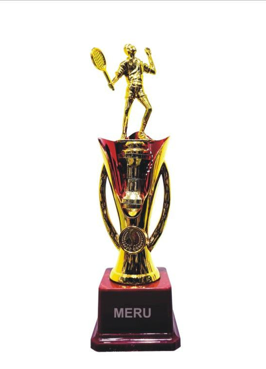 Custom acrylic trophy for awards.