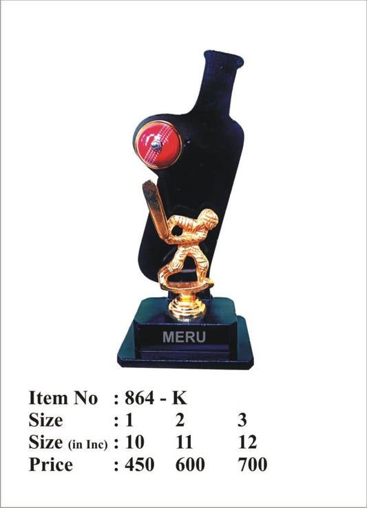 Gold cricket player acrylic trophy