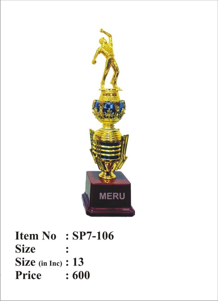 Gold and Blue Cricket Batsman Trophy