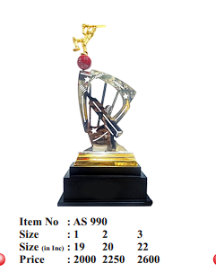 Dynamic cricket trophy design; ideal for recognition awards and corporate trophy presentations.