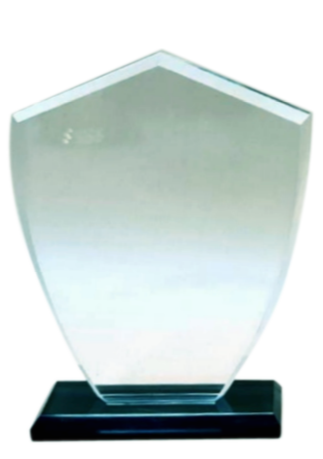 Clear crystal trophy on a black base.
