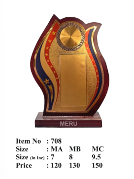 Star themed corporate trophy
