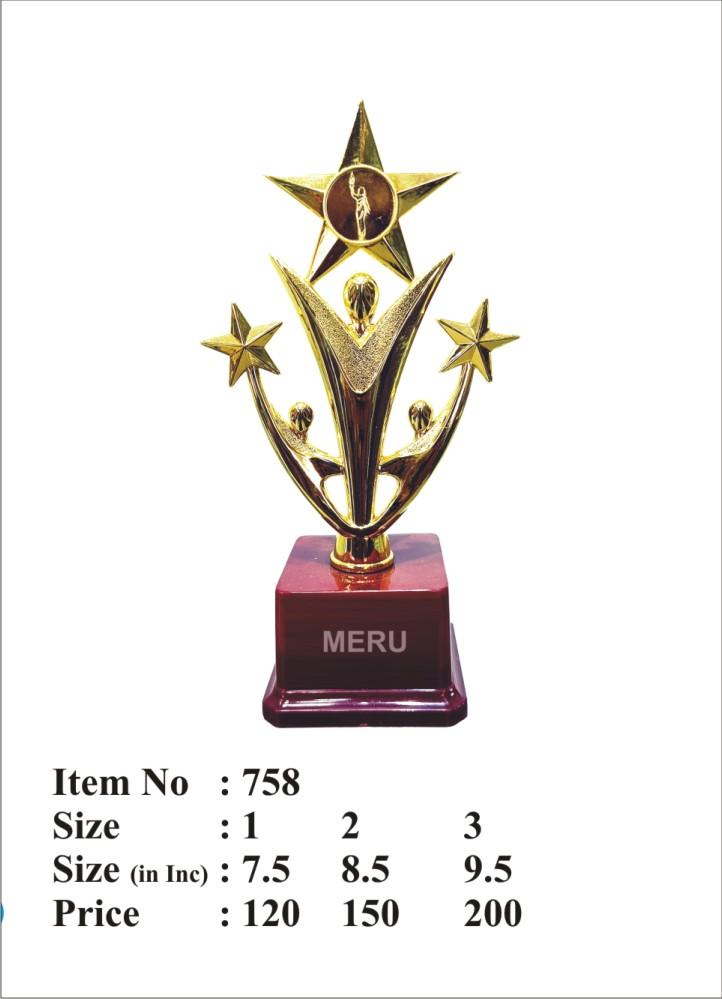 Gold Star Fibre Trophy