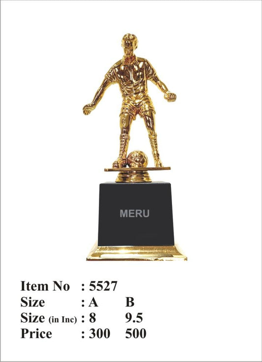 Gold Football Trophy Award