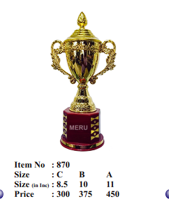 Gold Trophy Cup