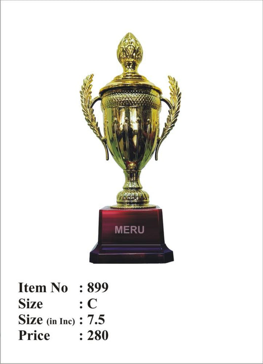 Gold Fibre Award Trophy 899