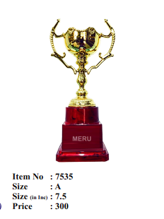 Gold and maroon fiber trophy; ideal for awards and recognition ceremonies.
