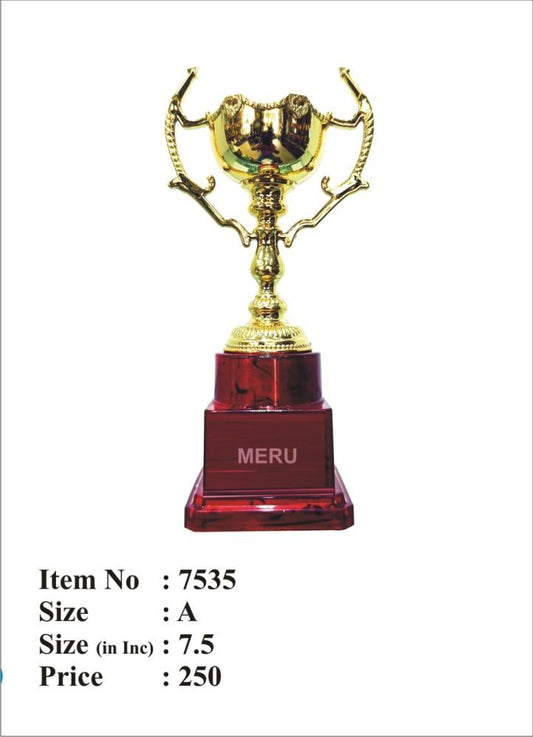Gold and Maroon Award Trophy