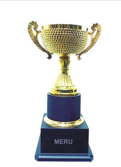 Gold metal trophy with a spherical cup; ideal for sports awards and corporate recognition.