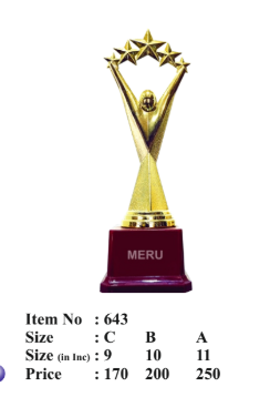 Gold Star Achievement Fibre Trophy