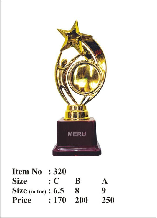 Gold star achievement Fibre-Trophy
