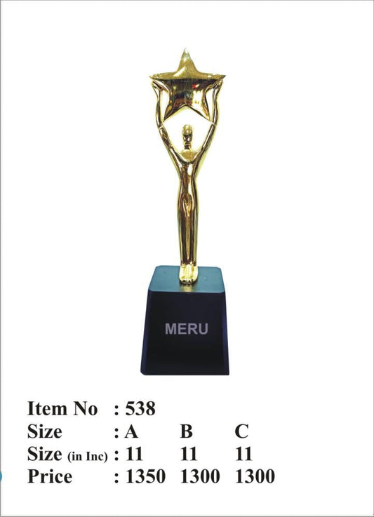 Gold star achievement trophy
