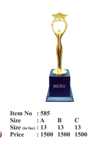 Gold star achievement corporate trophy.