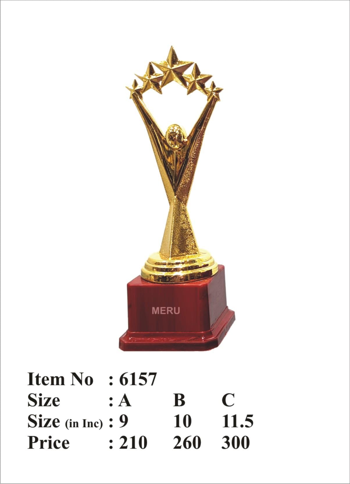 Gold star achievement trophy for employee recognition and awards.