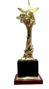 Gold star achievement award trophy on a black base. A perfect premium trophy for academic awards; corporate awards; or sports awards.