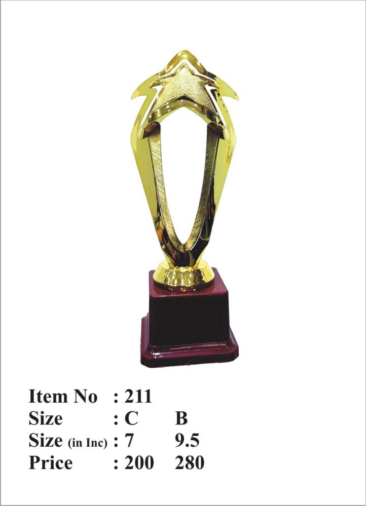 Gold Star Acrylic Trophy
