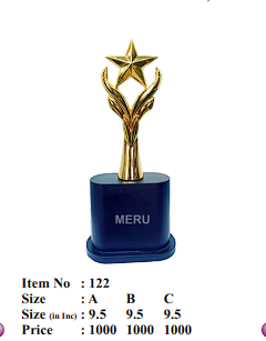 Gold Star Award Trophy - Ideal for corporate recognition awards and employee appreciation.
