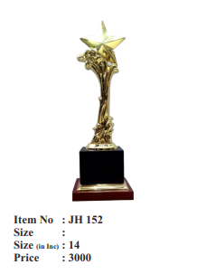 Gold Star Achievement Trophy.