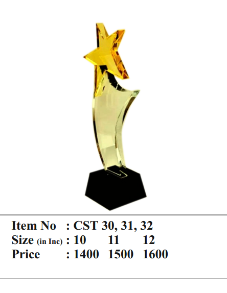 Gold star crystal trophy
