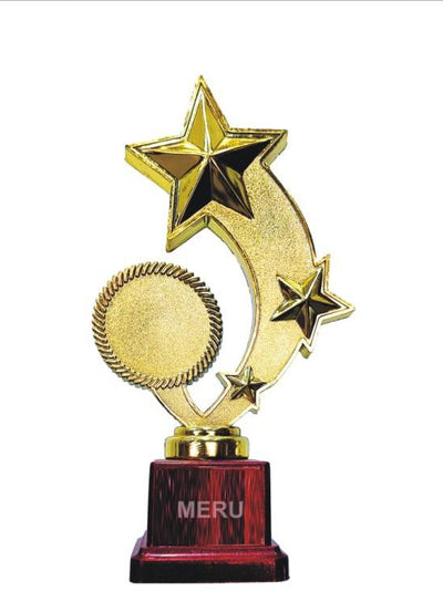 Gold Star Trophy - Recognition Award