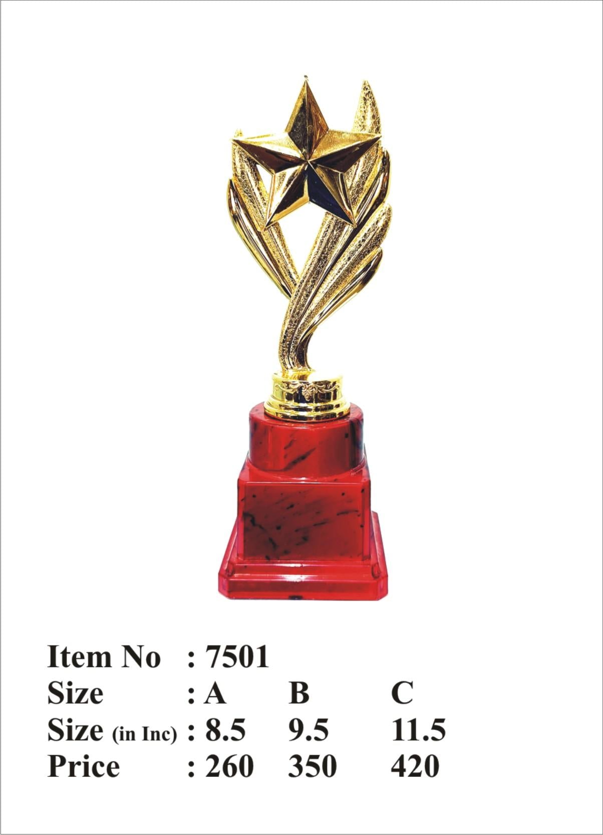 Gold Star Acrylic Trophy