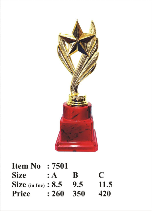 Gold Star Acrylic Trophy