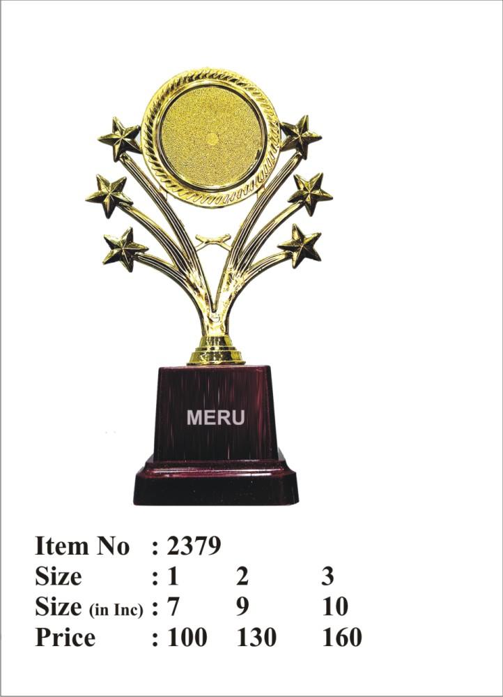 Gold star trophy award for employee recognition programs and corporate events.