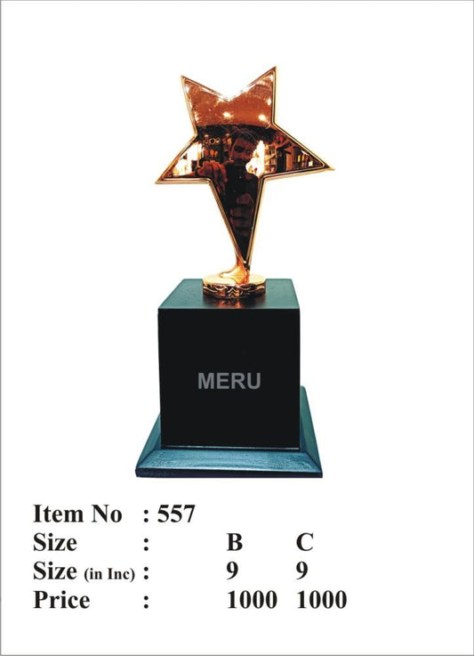 Gold star trophy on black base; ideal for awards and recognition.