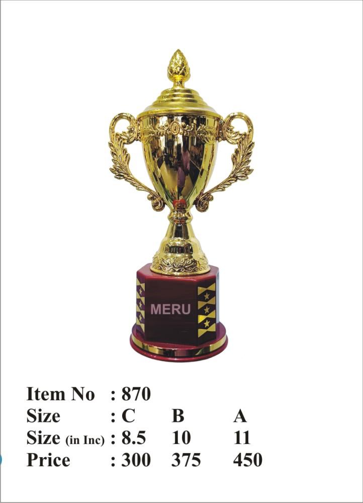 Gold award trophy cup on maroon base 870