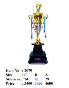 Elegant Gold and Silver Cup Trophy - Sports Award