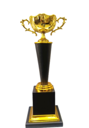 Gold and black premium award trophy